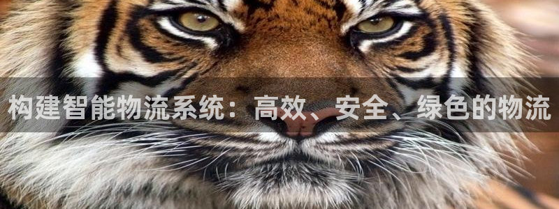fh至尊平台怎么打不开了呢