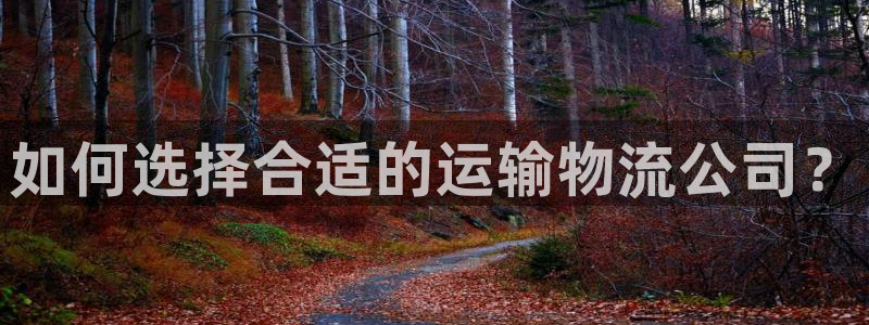 fh至尊凤凰代理