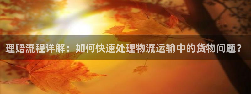 fh至尊怎么没有了